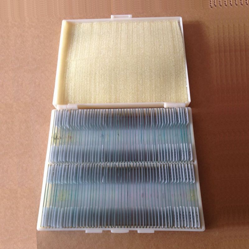NEW! 100PCS Lab Biological Prepared Glass Microscope Slides Educational Specimen