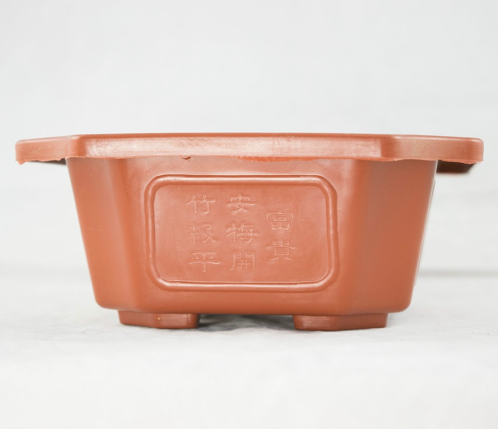 2 Rectangular Plastic Bonsai Training Pot, Succulent Planter 9.25"x 6.5"x 2.75"