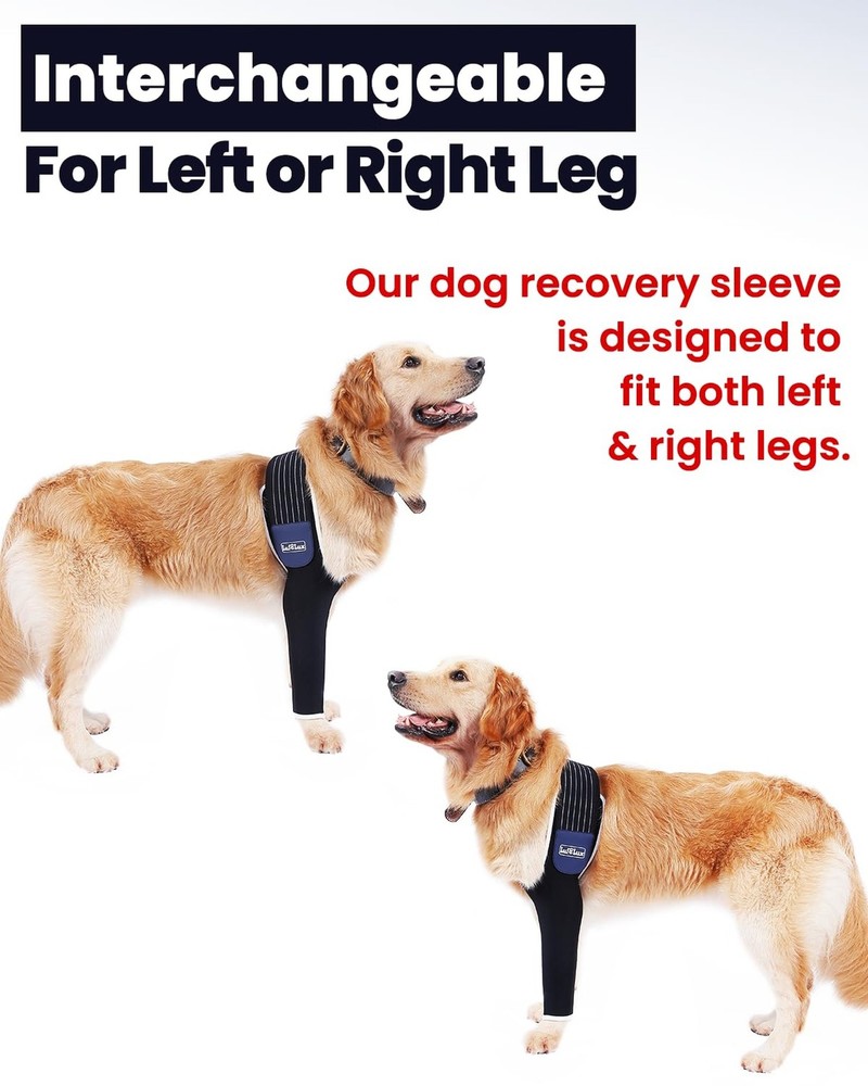 Dog Front Leg Sleeve, XLarge, Comfortable, Breathable Material, Adjustable El...