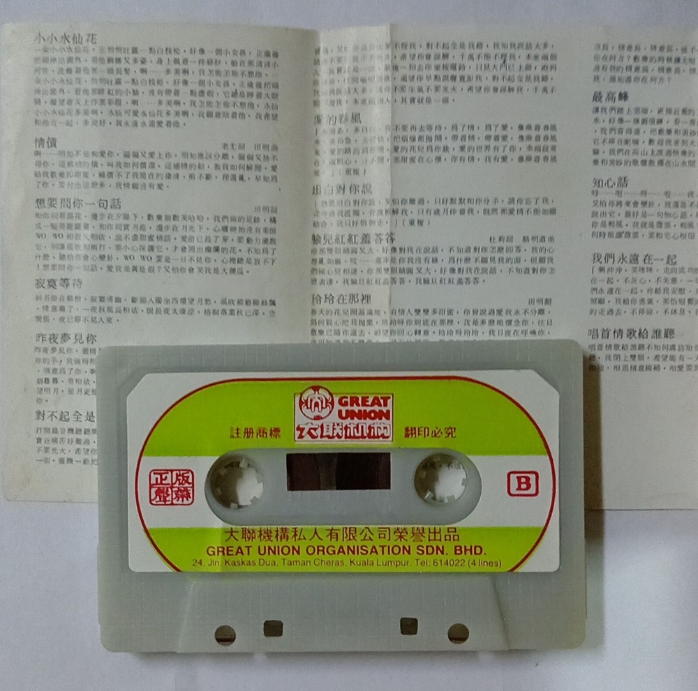 陈洁 畅销金曲 小小水仙花 大联机构 马来西亚版卡带磁带 Rare Malaysia Cassette (U545)