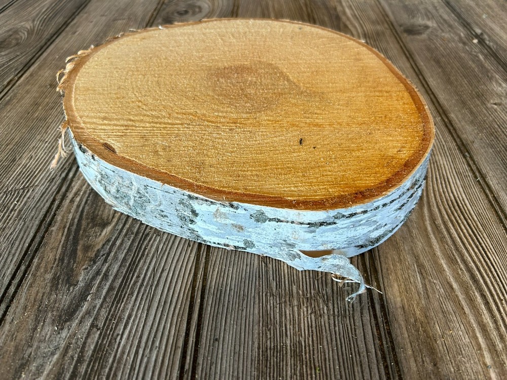 White Birch Slice Approximately 10 Inches Diameter