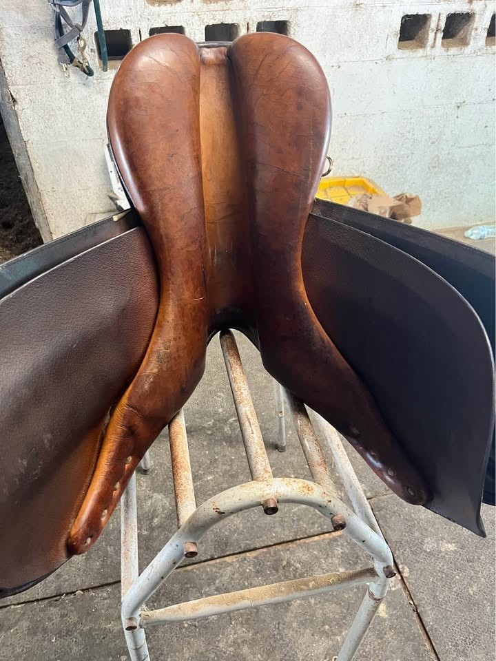 16" Beval Limited CC Saddle