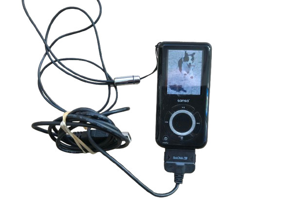 SanDisk Sansa E250 Media Player