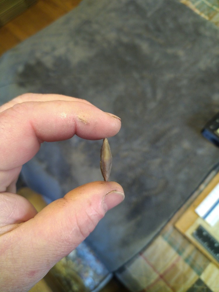 Gower Texas Chert 3 1/4" x 1 1/4"