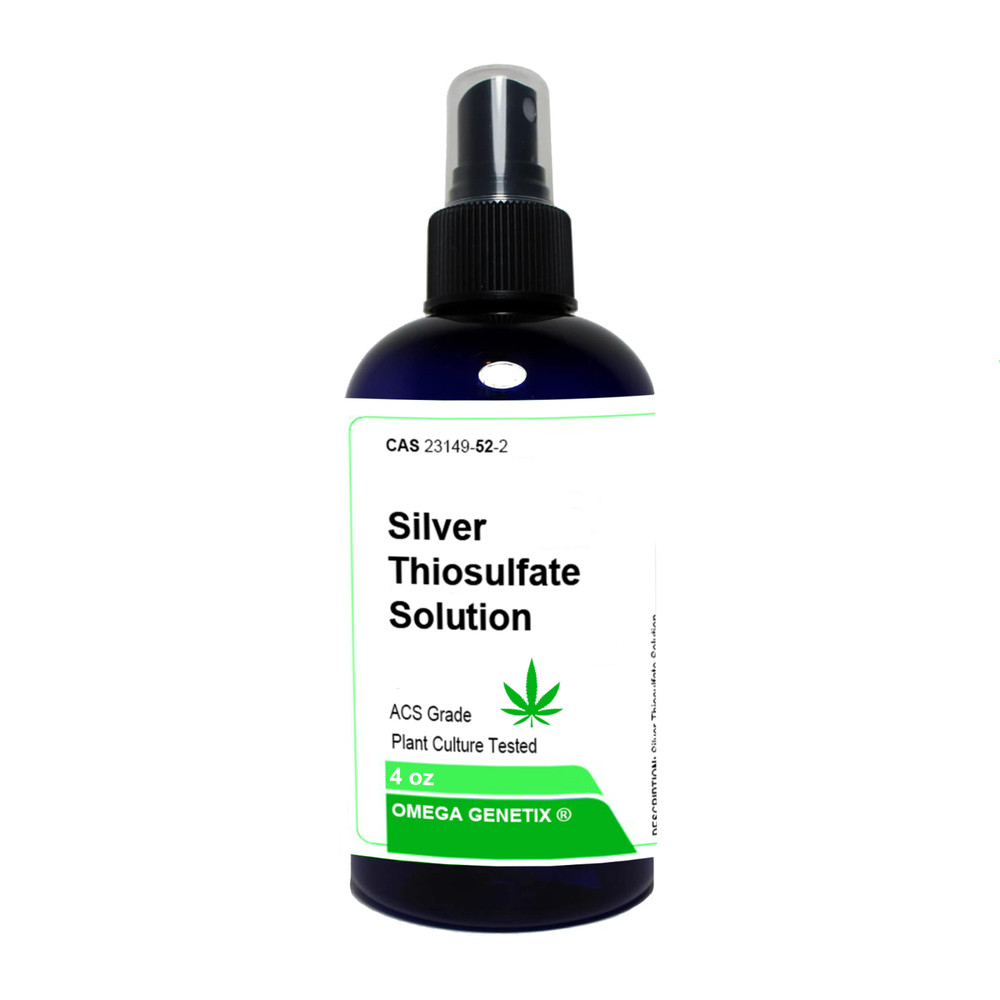 Silver Thiosulfate Solution, 4 Oz Omega Genetix™ L.L.C.