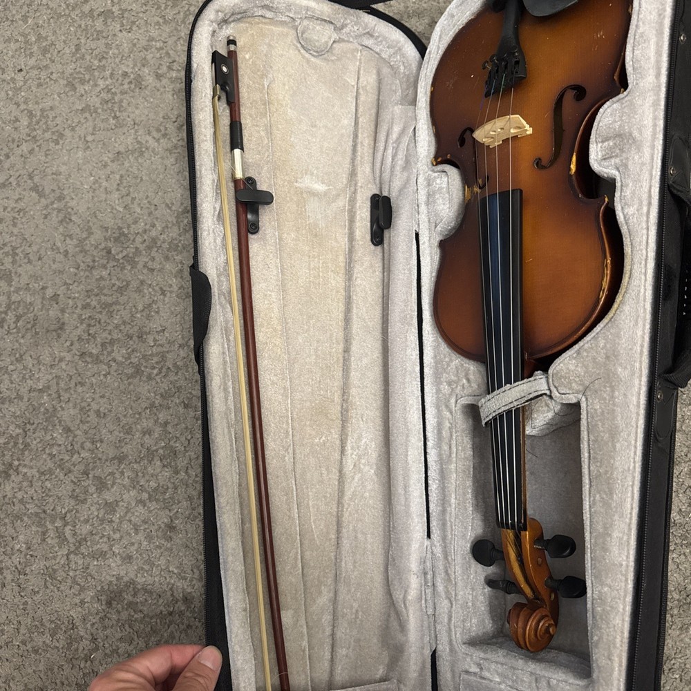 Violin In Case Instrument Mendini