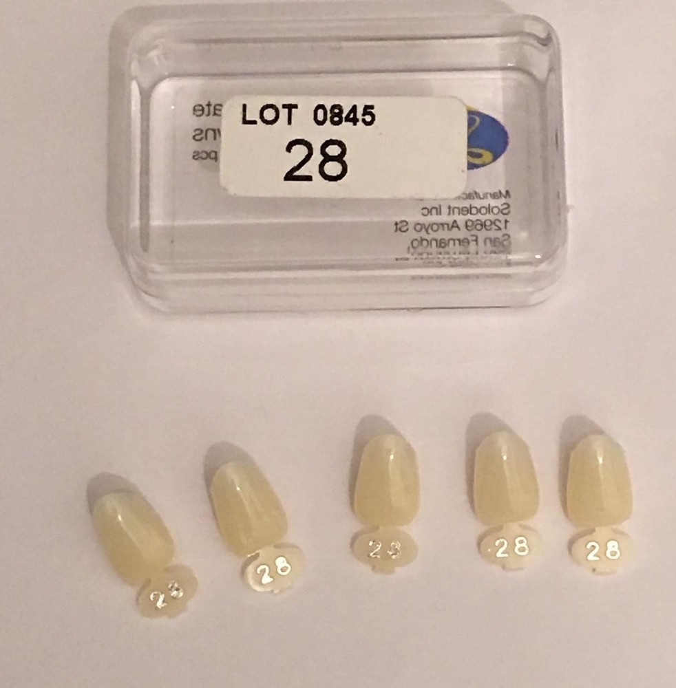 Dental Polycarbonate Temporary Crowns  5 pcs #28