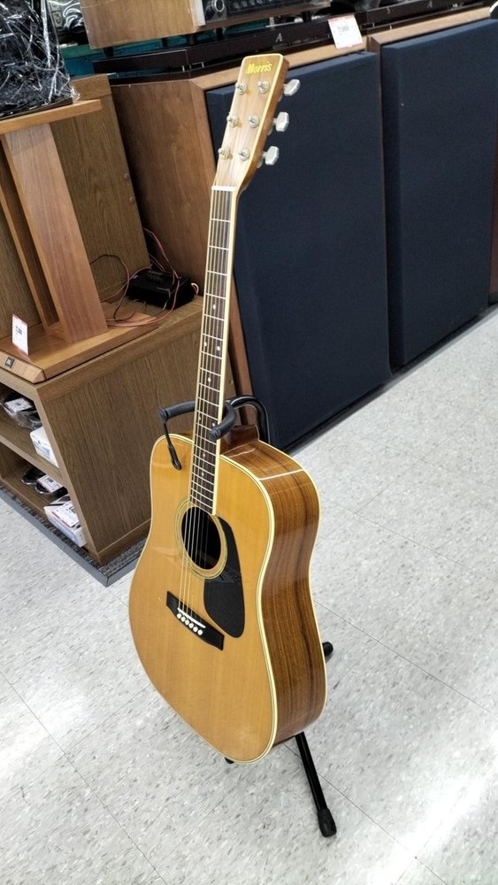 MORRIS MD-510 Acoustic