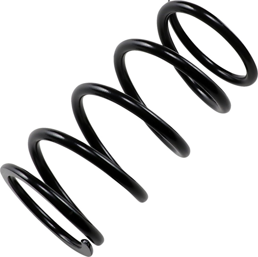 EPI Black Primary Clutch Spring (PS-4)
