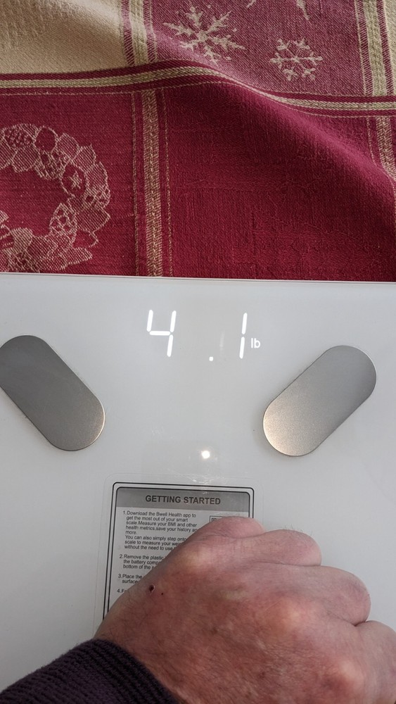 BWell Bluetooth Smart Scale