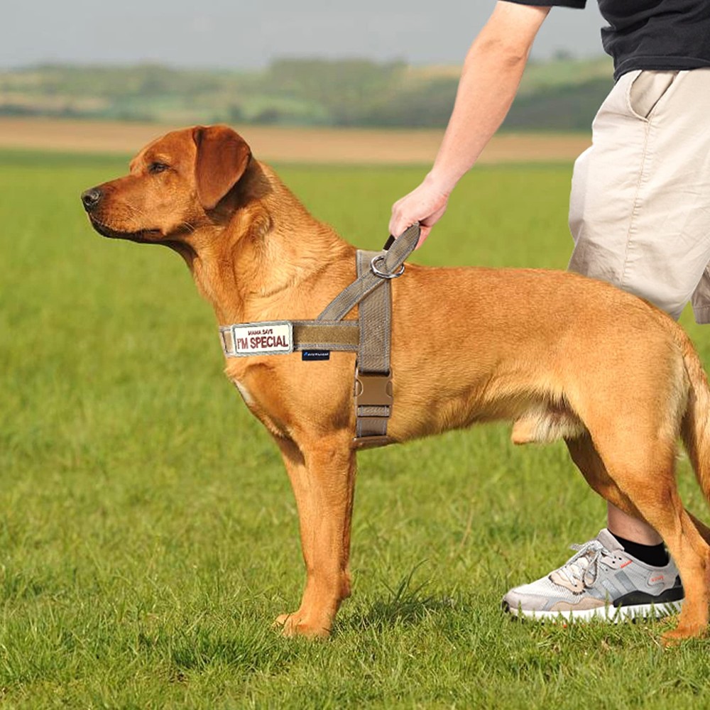 Annchwool No Pull Dog Harness with Soft Padded Handle,Reflective L, Brown