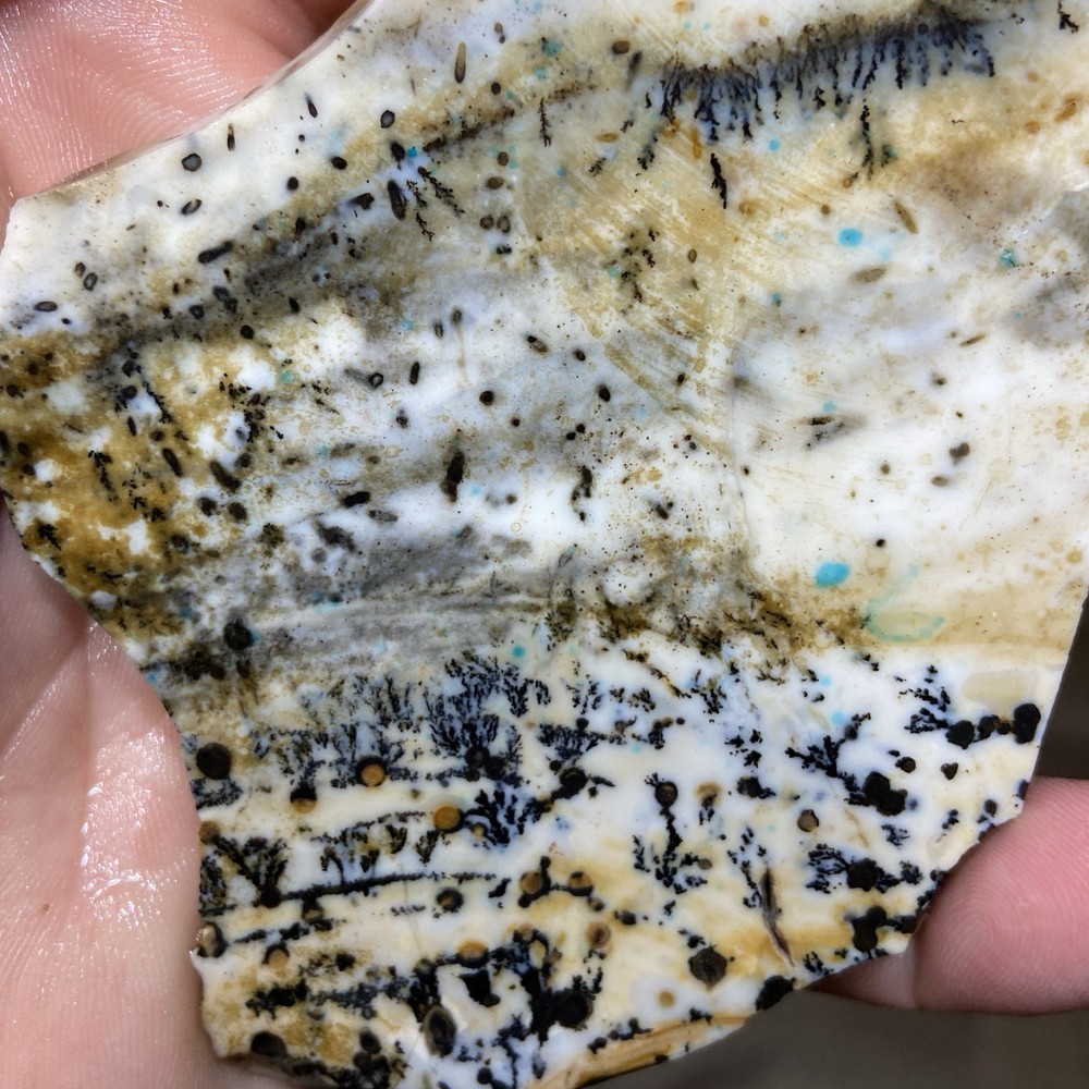 Dendrite Opal Rough Slab Unique Patterns 4.46 Oz