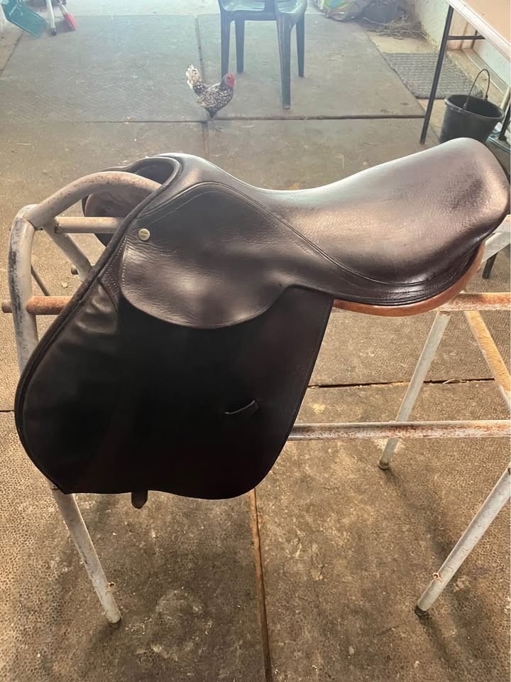16" Beval Limited CC Saddle