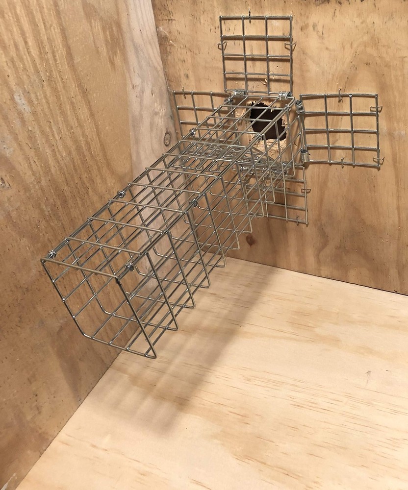 One-Way Rodent and Squirrel Trap with Copper Mesh for Effective Pest Control
