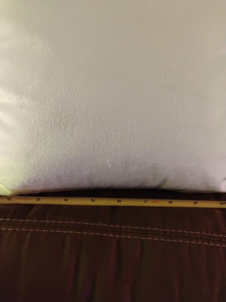 Yogi Soft 12" Pillow $22