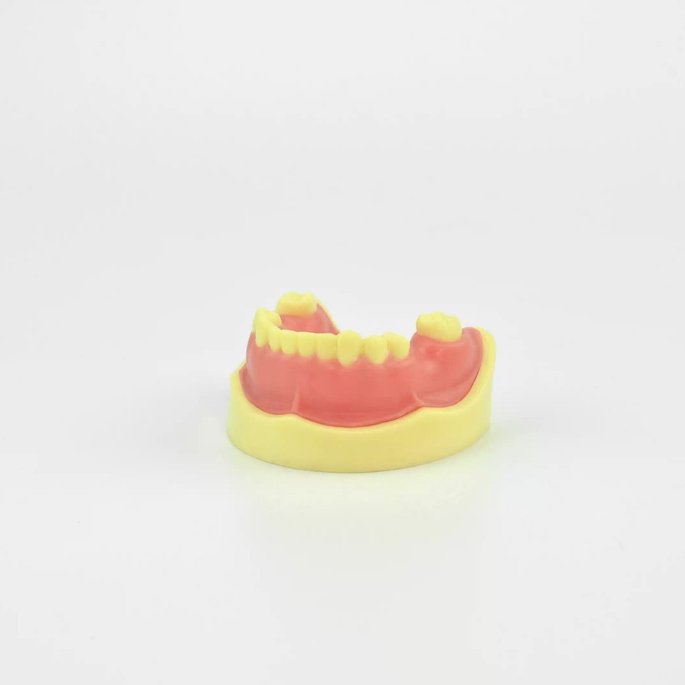 Dental Implant Practice Model Drilling Training Open Suture Model for Education