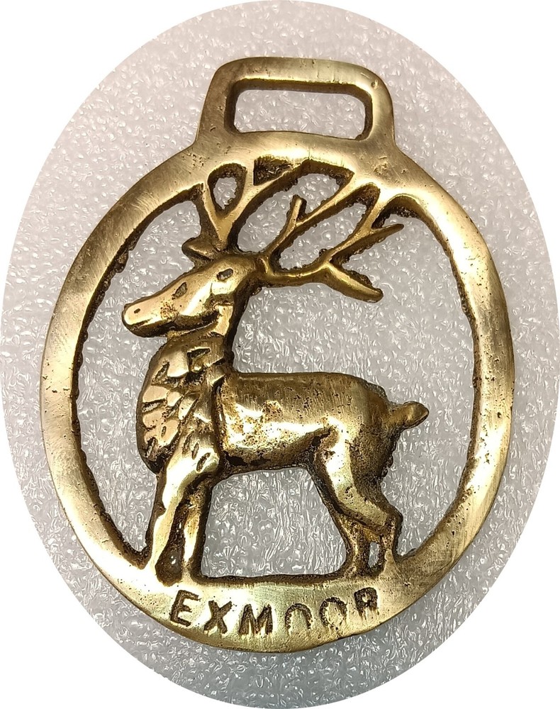 STAG  - EXMOOR -DEVON   horse brass (8006)