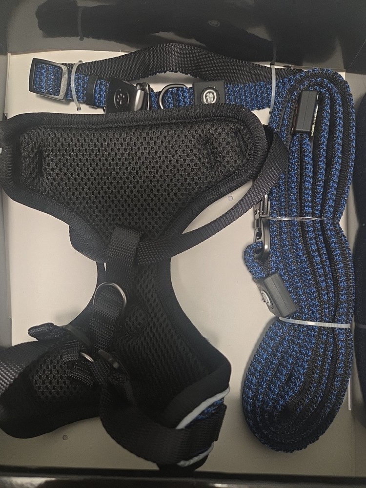Silver Paw Dog Harness Leash & Collar Set Blue