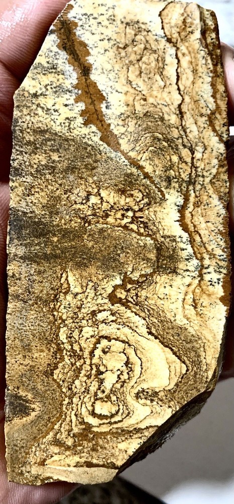 african queen picture jasper