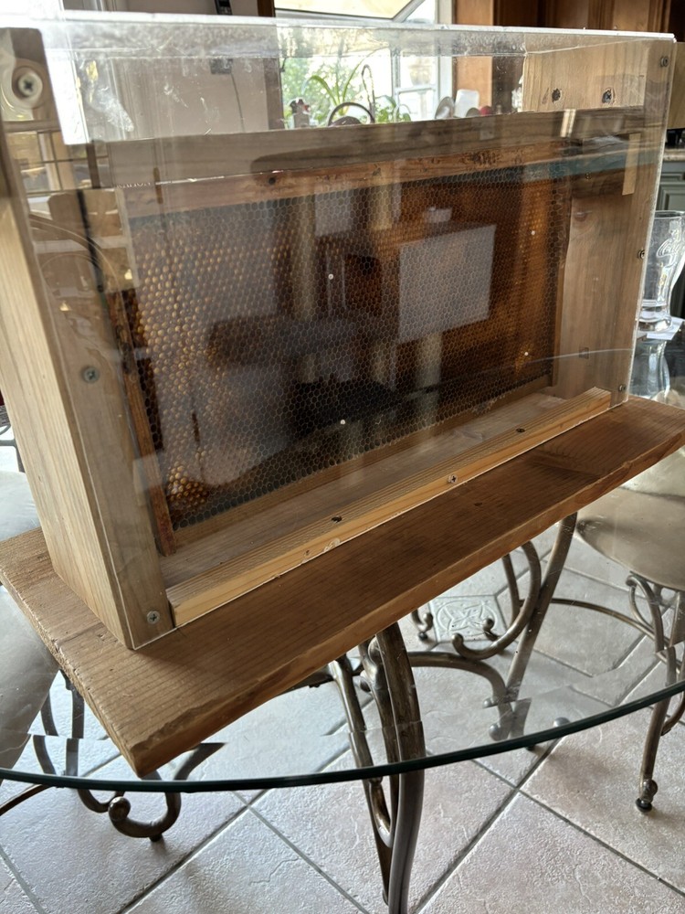 Homemade Observation Bee Hive