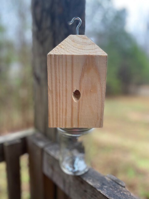 Boring /Wood Bee Catcher Trsp