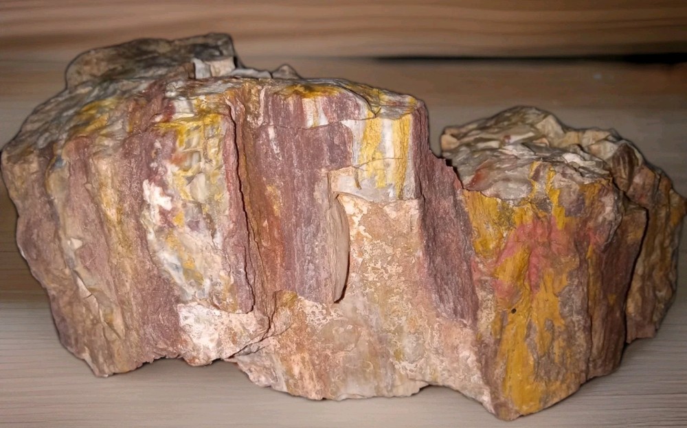 Petrified Opalized Rainbow Wood Rough 3 lbs+ AZ