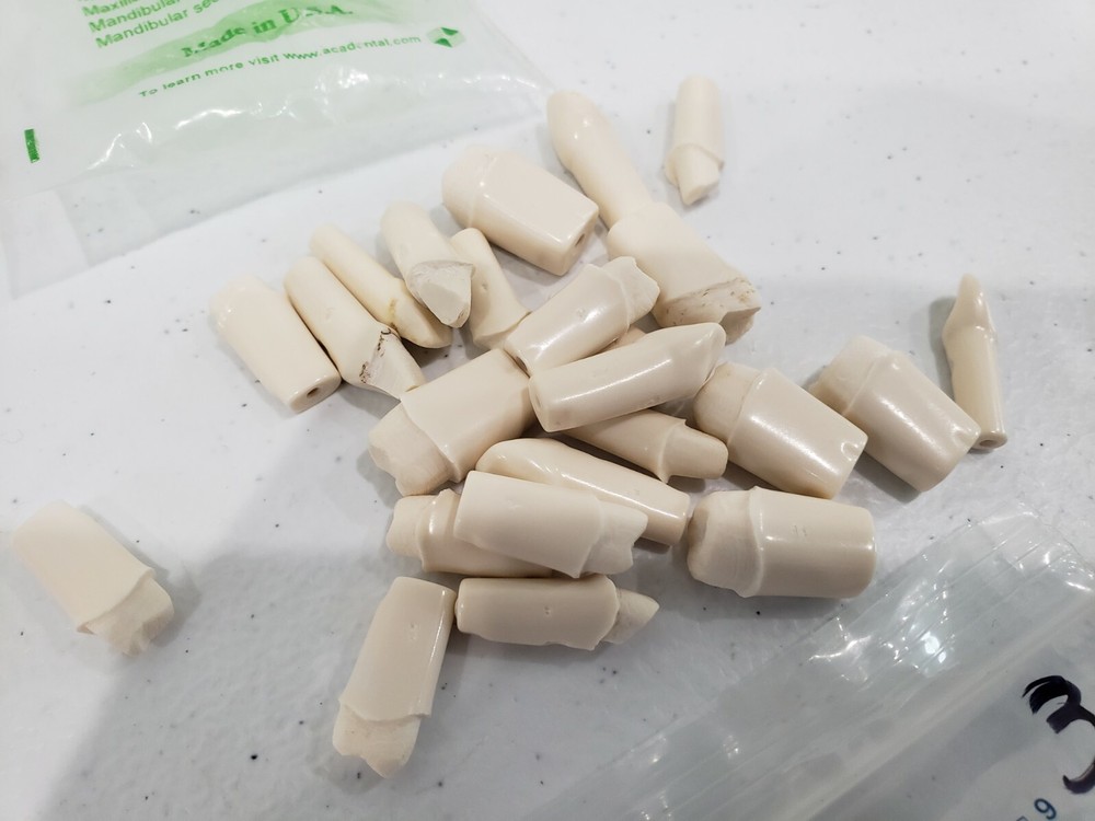 Modupro Replacement Modules - Endo Extracted Tooth Substitute- Acadental 67 pcs