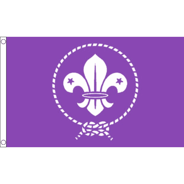 Scouts Purple Flag Table Hand Waving Flags Bunting Party Scrunchie Displays