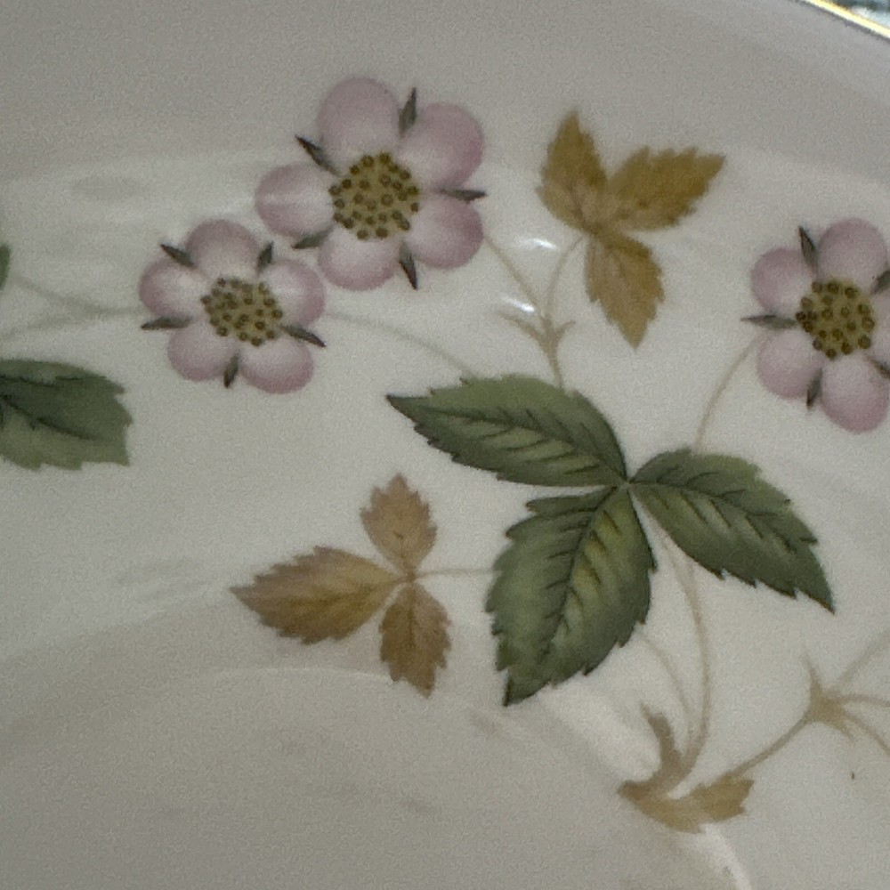 Wedgewood WILD STRAWBERRY Teacup