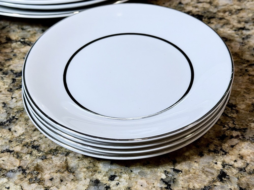 1970’s Salem Silver Elegance Ironstone England 16pc Dinnerware Set Service 4 EC