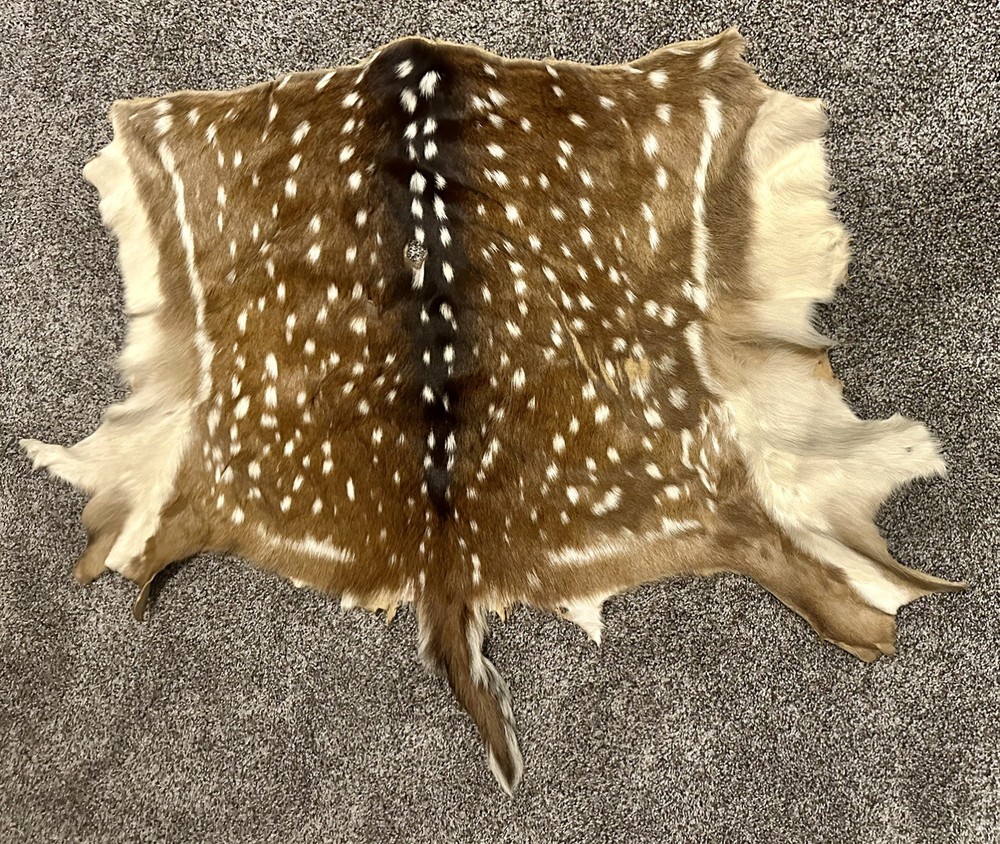 Beautiful Axis Deer Hide 50x37
