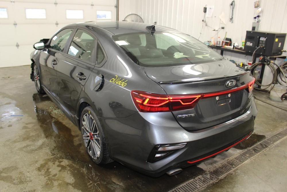 2020 KIA FORTE LR Door Trim Panel