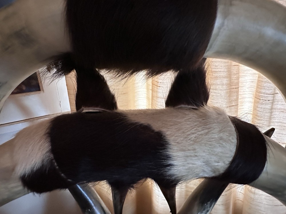 Texas Longhorn 2 Piece Chair Set