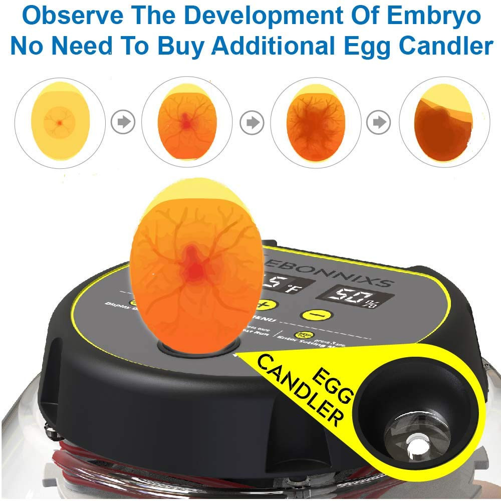 12 Egg Incubator with Humidity Display, Egg Candler, Automatic Egg Turner, for H