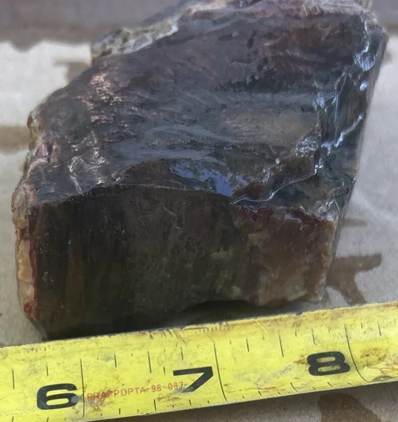 Colorful petrified wood