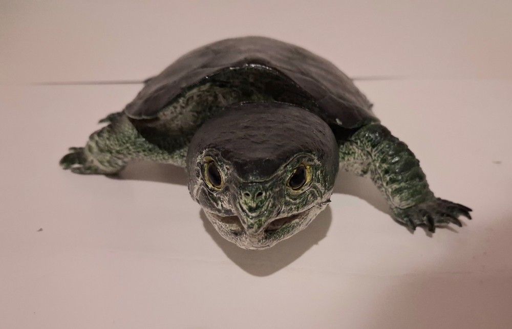 AAA Realistic PVC Big Headed/Snapping Turtle