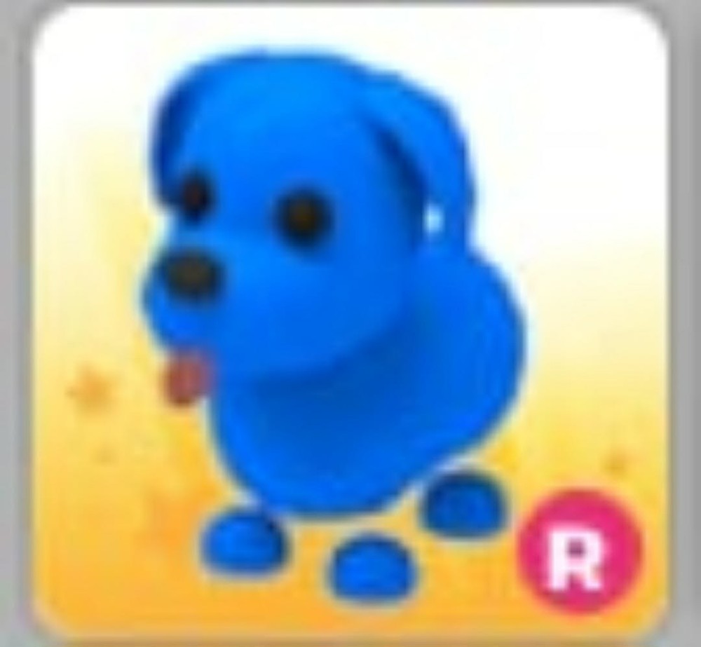 Blue Dog | Adopt Now