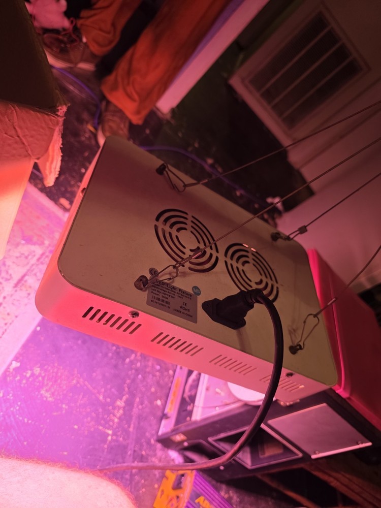 Grow Lights W/ Ballasts And Bulbs