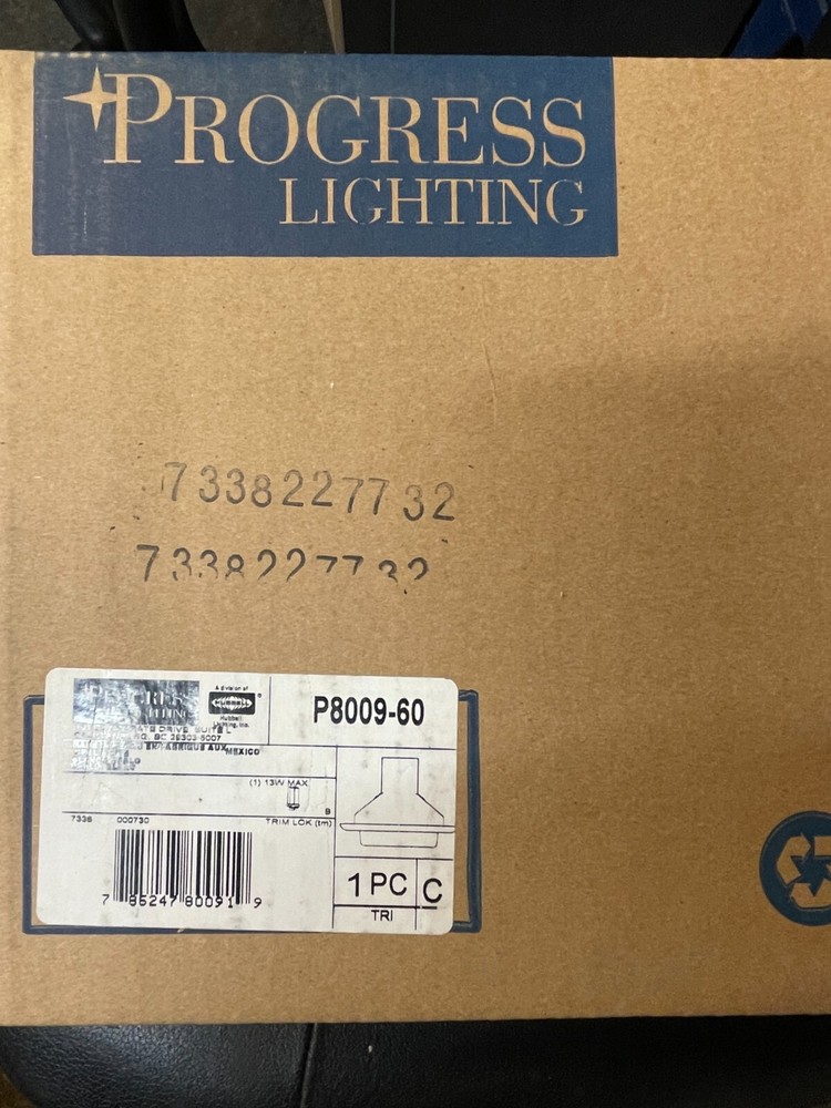 P8009-60 Progress Lighting Drop Opal Shower Trim