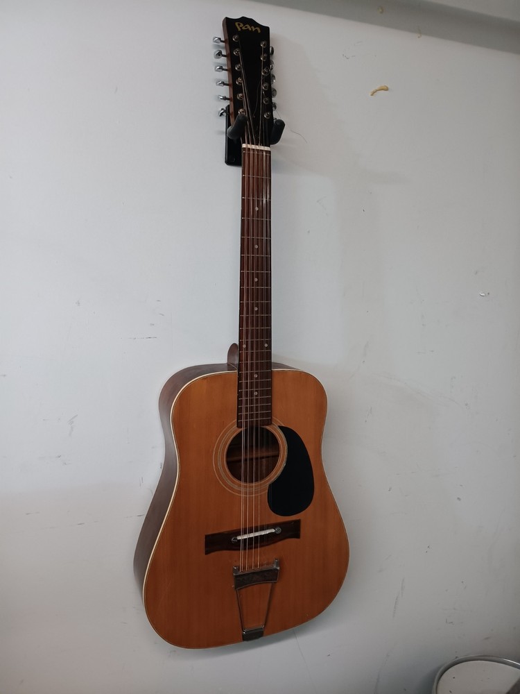 pan acoustic 12 string w/case