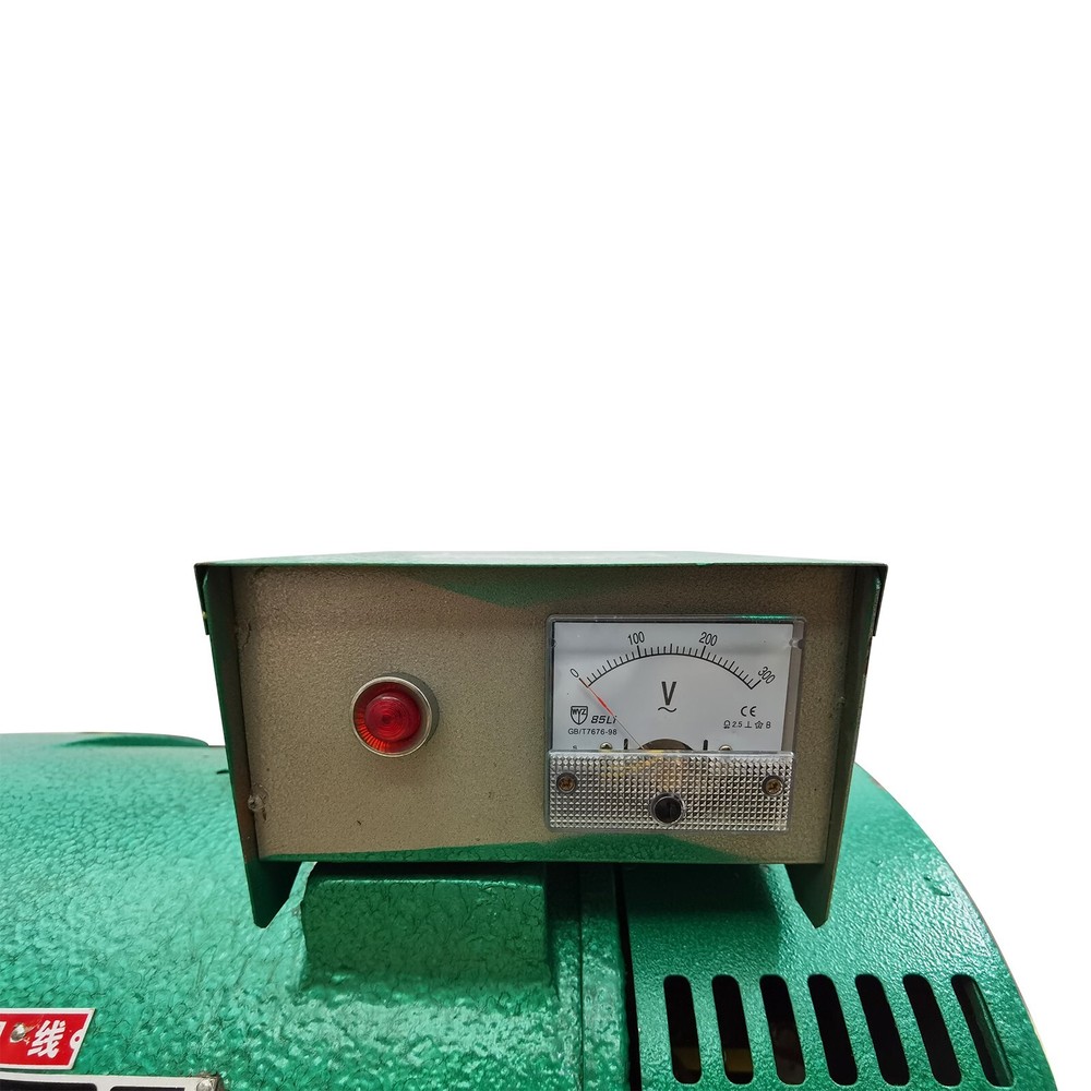 220V 1-Phase Driven Generator Brushed Generator Pure Copper Engine