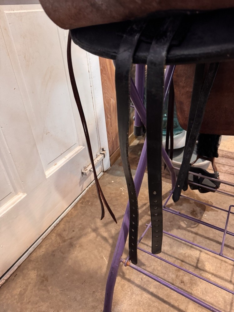 endurance saddle 16 used