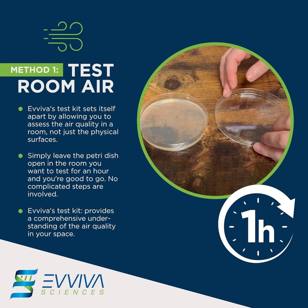 Indoor Mold Kit: 10 Easy Detection Tests + Comprehensive Information Guide