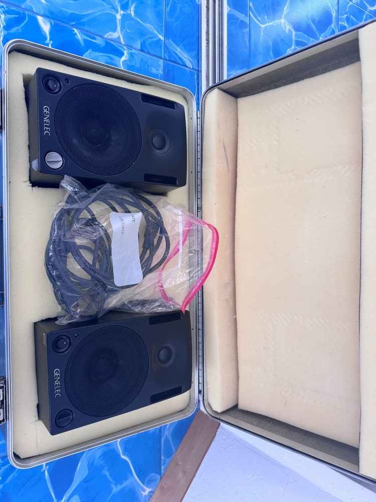 Genelec 2029B studio monitors - Matched Pair!