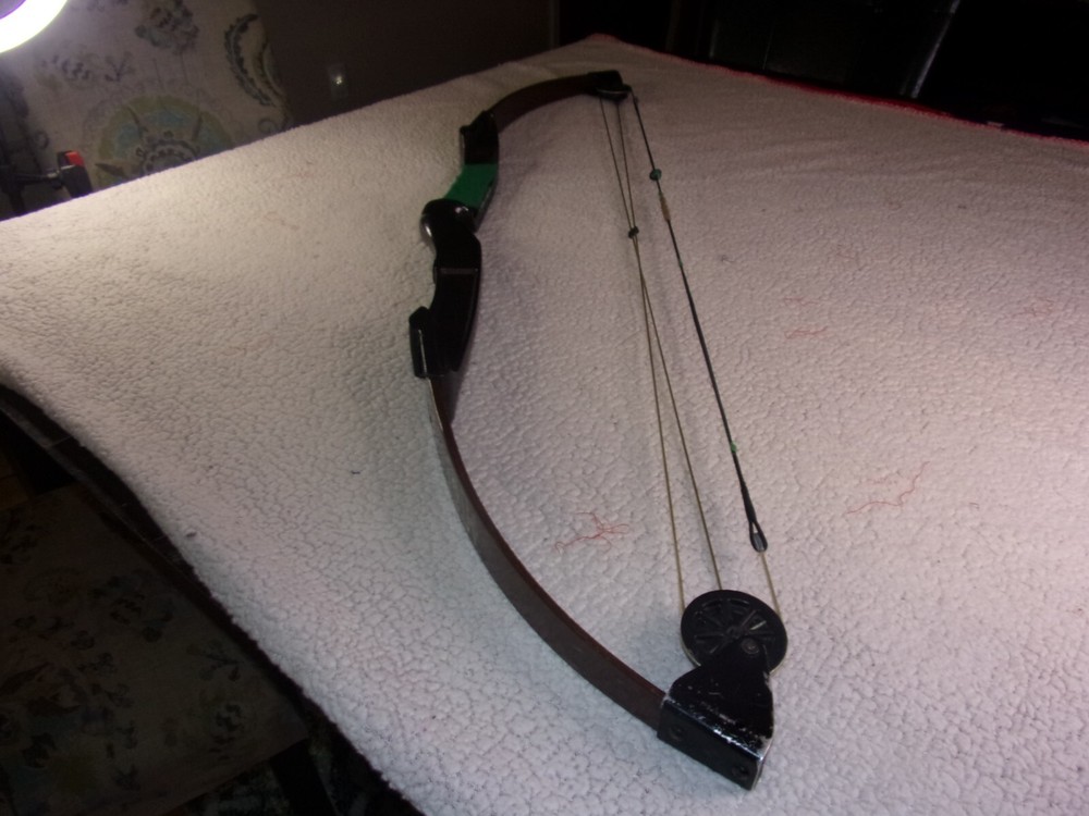 Bear Blacktail Hunter Compound