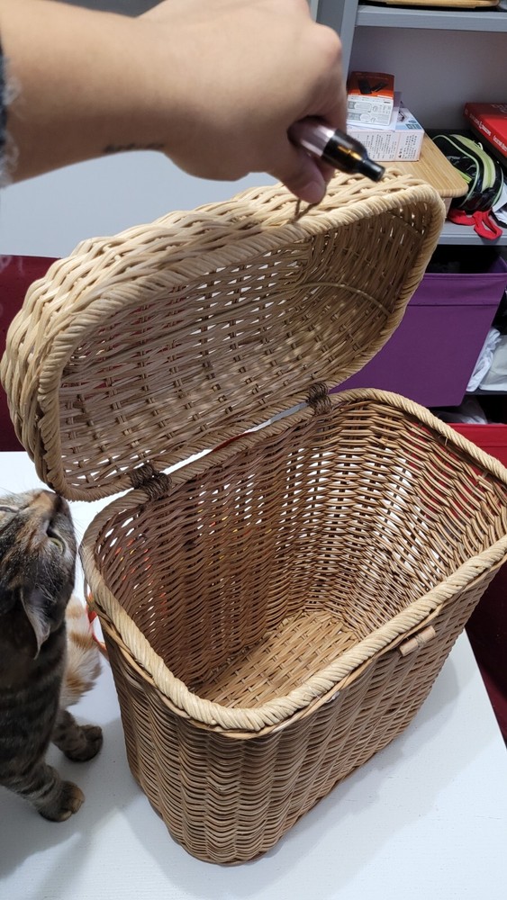 IKEA SOLBLEKT Wicker Backpack Limited Edition Rare 2020