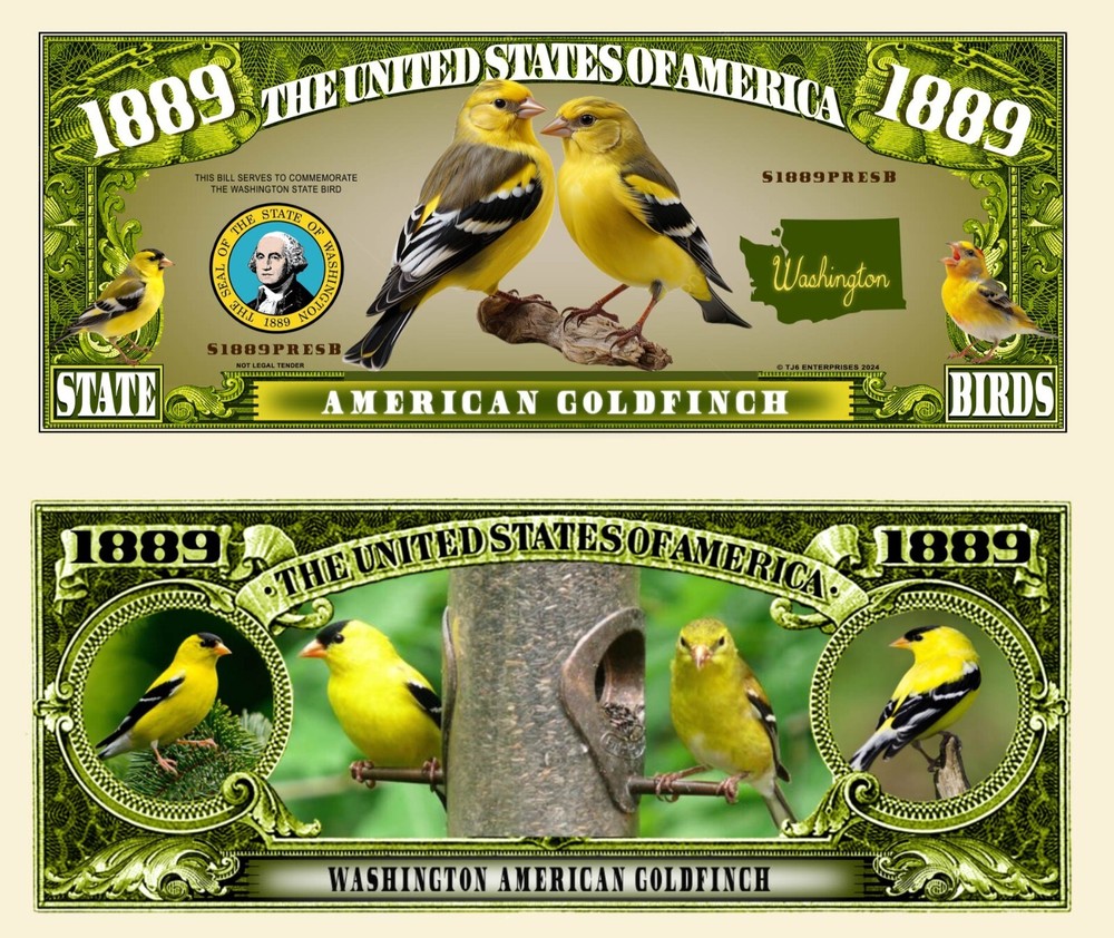 OUR WASHINGTON GOLDFINCH NOVELTY NOTE  (2 EA)