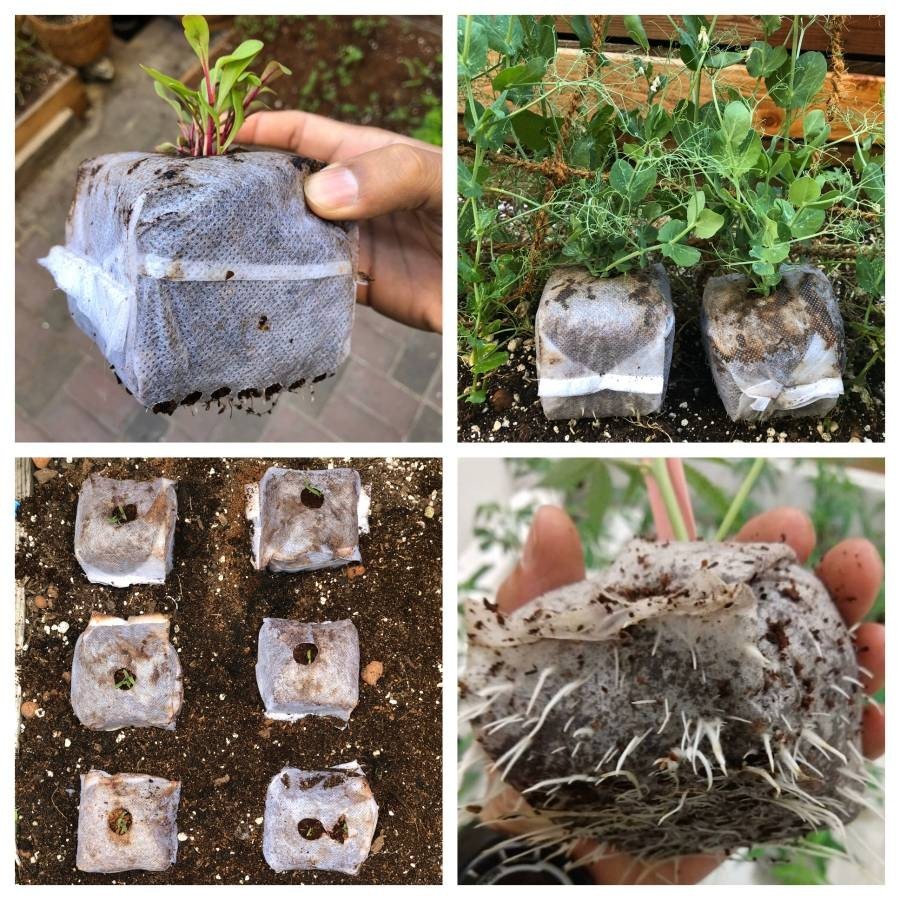 GroEzy Coco Grow Cube - 4" Coco cubes (Case of 150)