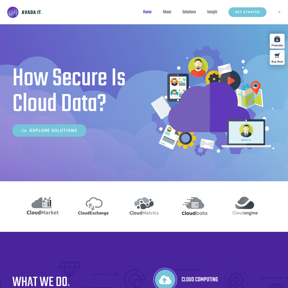 Information Technology Website Design with Free VPS Web Hosting and Installation
