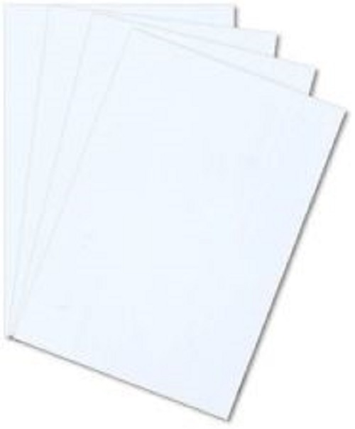 (10 Pack) WHITE STYRENE POLYSTYRENE PLASTIC SHEET .010" X 18" X 24"*